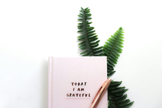 Pink gratitude journal with a pen placed on green fern leaves, emphasizing reasons why you should keep a gratitude list.